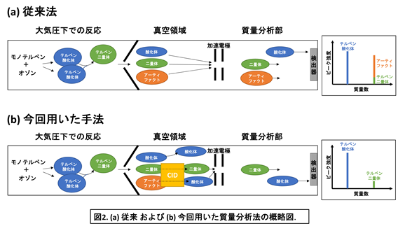 (a)従来および(b)今回用いた質量分析法の概略図