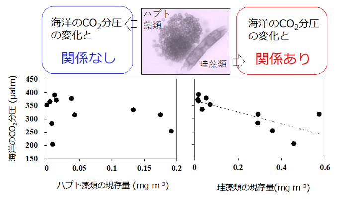 植物プランクトン群集と海洋のCO2分圧との関係の図