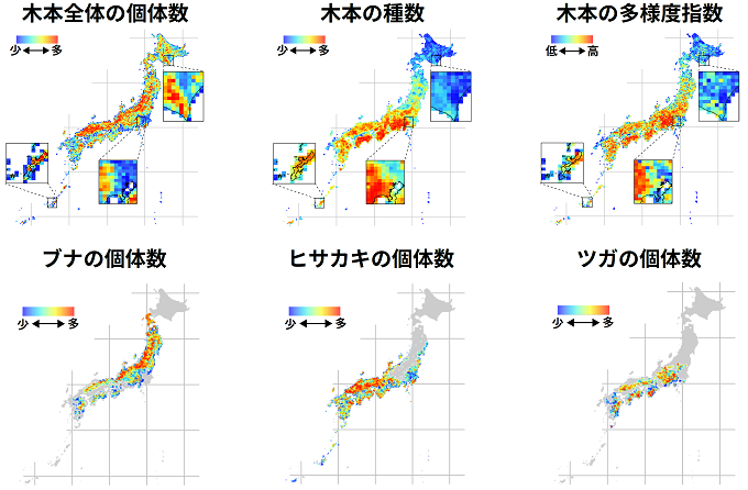 推定された木本植物の多様性、および個々の生物種の個体数を表した図