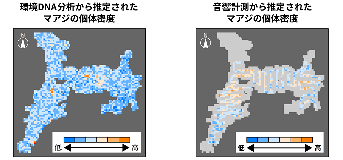 推定された湾内のマアジの個体密度を表した図