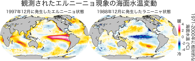 観測されたエルニーニョ現象の最盛期における海面水温変動の空間構造を表した図（クリックすると拡大表示）