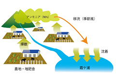 本研究で考えられる冬季のアンモニア揮散・移流・沈着の概念図