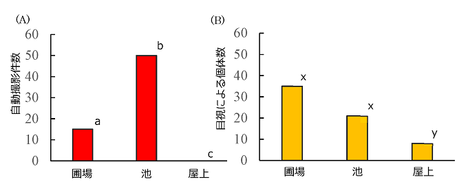 各地点における赤とんぼ類の(A)合計自動撮影件数と(B)10分間の目視調査の合計個体数の図