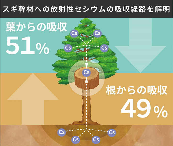 研究成果のイメージ画像