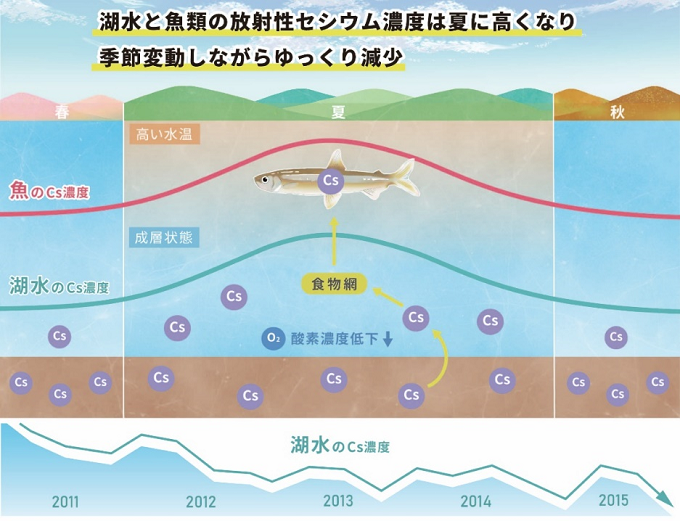 研究成果のイメージ画像