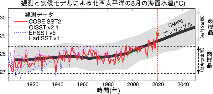 北西太平洋における観測および気候モデルの海面水温の時系列に表した図。クリックすると図が拡大します。