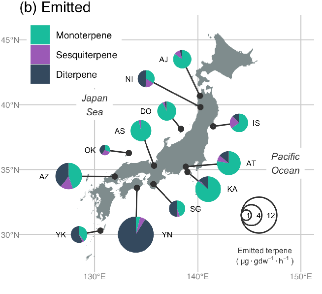 12集団のスギから放出されるテルペン類の組成と量を表した図