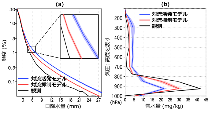 亜熱帯海上における対流と雲の比較の図