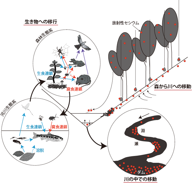 研究のイメージ画像