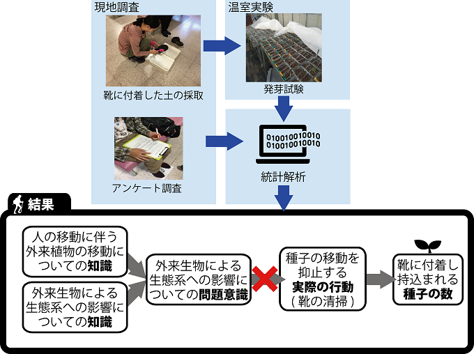 研究の全体概要を表した図