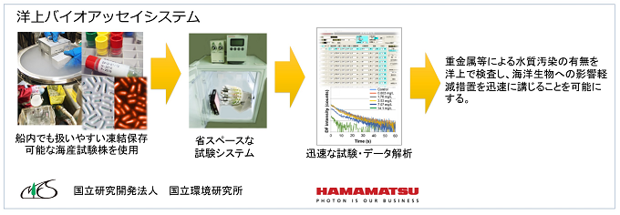 海産試験株Cyanobium sp.（NIES-981）と遅延蛍光計測を組み合わせた洋上バイオアッセイの概要（ISO 23734）を表した図