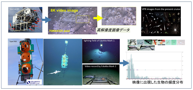 規格に準じたカメラ観測による海洋生物の分布調査の事例（ISO 23731）を表した図