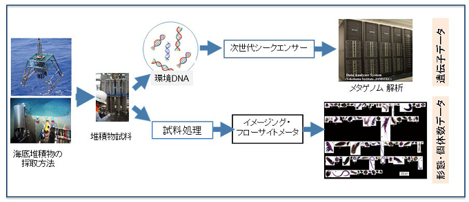 図小型底生生物群集の形態と個体数のデータおよびメタゲノムによる群衆構成のデータを短時間に効率よく収集する工程と手法（ISO 23732）を表した図