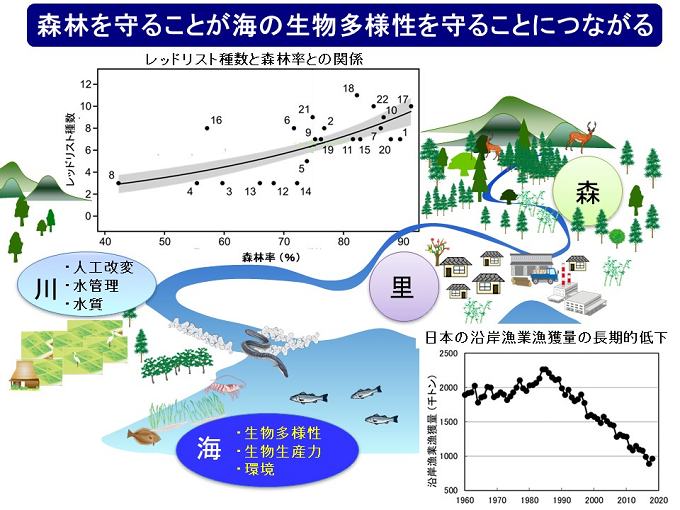 研究のイメージ図