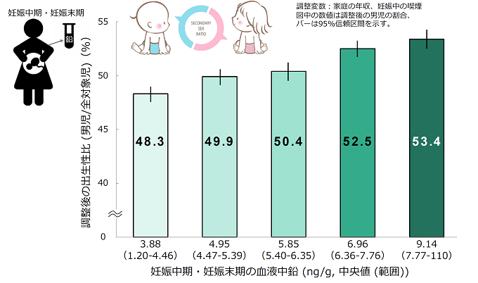 妊娠中期・妊娠末期の妊婦の血液中鉛濃度と出生性比の解析の図