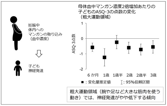 母体血中マンガン濃度2倍増加あたりの子どものASQ-3の点数の変化を表した図