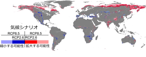 気候シナリオ図