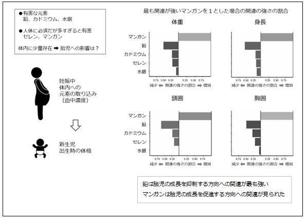 最も関連が強いマンガンを１とした場合の強さの割合のグラフ