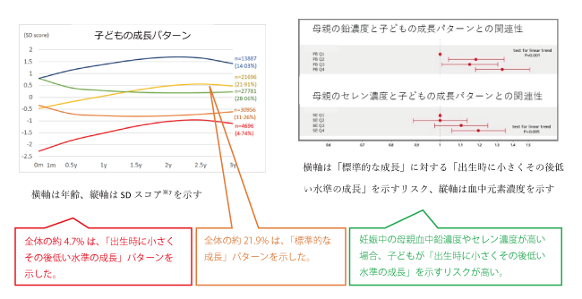 子どもの成長パターンと母親の鉛濃度と子どもの成長パターンとの関連性の図