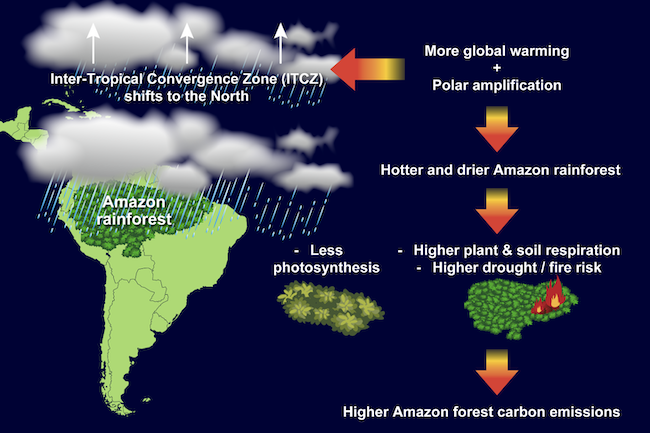 Representação esquemática dos mecanismos físicos das mudanças climáticas no ciclo do carbono na região da floresta amazônica